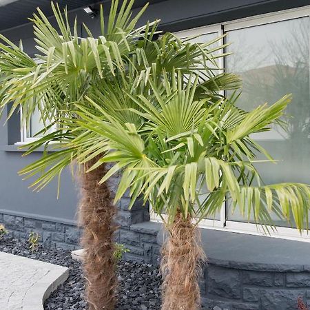 Villa Amontarrena à Anglet Extérieur photo