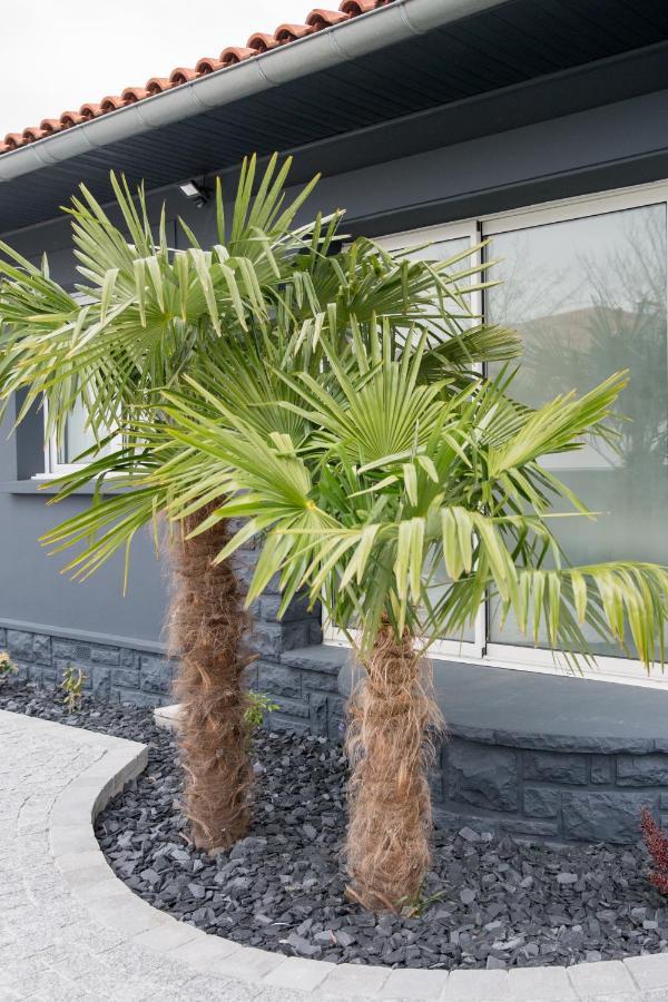 Villa Amontarrena à Anglet Extérieur photo